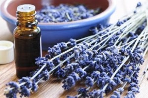 Levendula illóolaj