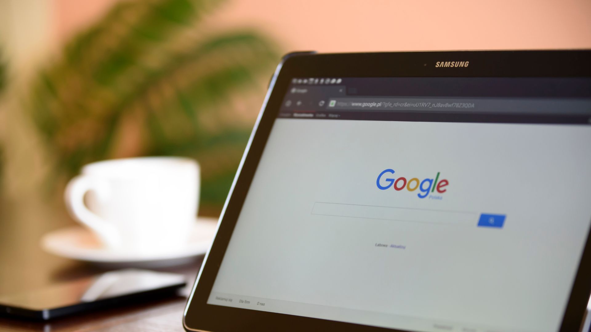 Weblap optimalizálás a Kanga Design SEO ügynökség kínálatában